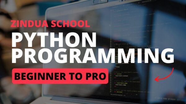 Python programming course banner